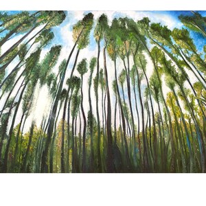 Cartes de voeux d'une peinture à l'huile originale de Rachel Smith représentant une forêt, les yeux levés vers le ciel alors que la lumière brille à travers la cime des arbres.