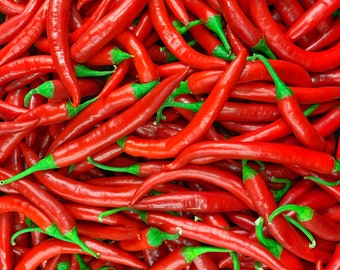 Spicy Pusa Jwala Pepper Seeds - Authentic Indian Chilli, Ideal for Growing Your Own Hot Peppers, Great Gift for Gardeners