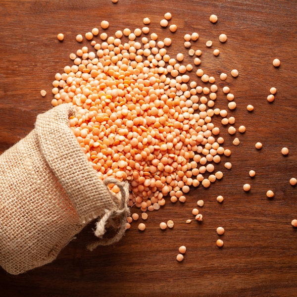 Organic Masoor Dal Seeds - Heirloom Lentil Variety, Grow Your Own Protein-Rich Legumes, Perfect Gardening Gift