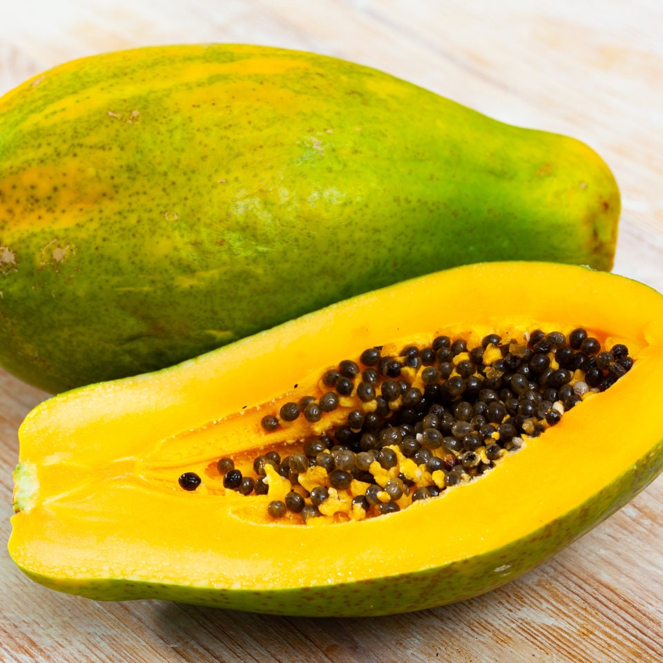 Papaya Tree Seeds 30 Pack Carica Papaya, Nongmo, Tropical Fruit Garden