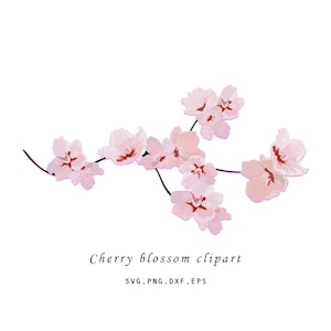 Kirschblüte Clipart transparentes Png, Kirschzweig SVG, Frühlingsblumen Clipart