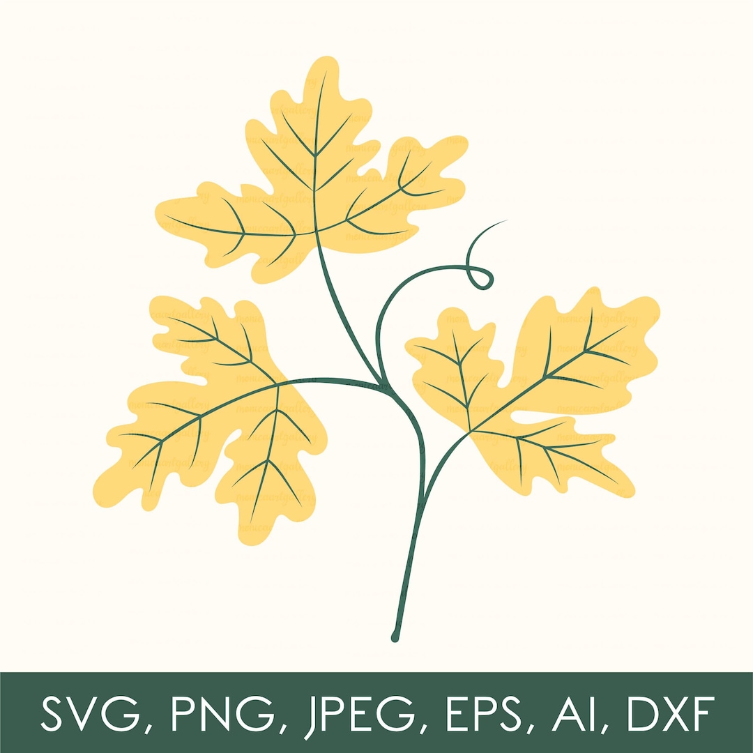 Pumpkin Leaf Svg Pumpkin Vein SVG Pumpkin Leaf DXF File for - Etsy