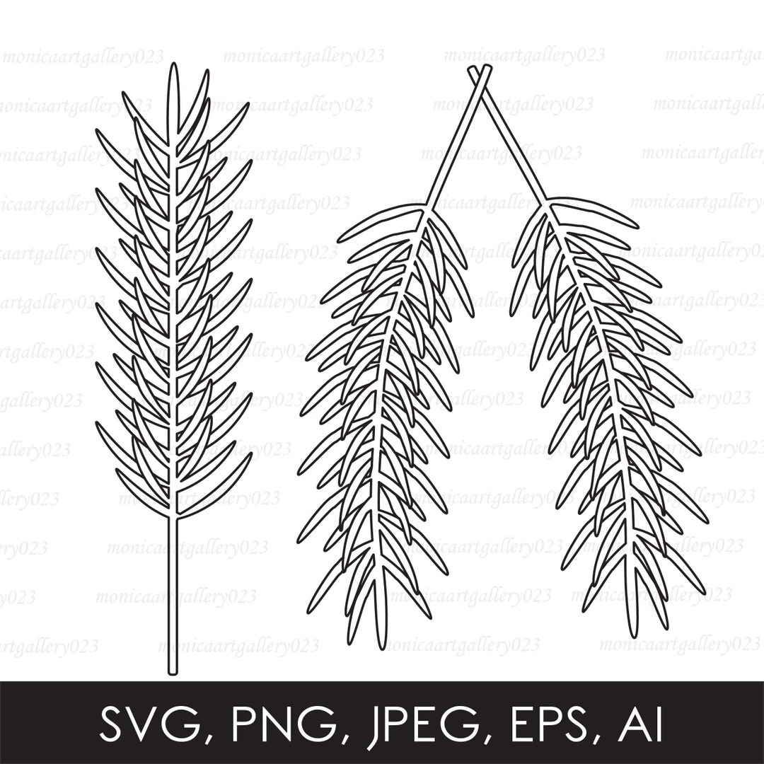 Pine Tree Branch Svg Bundle Clipart Christmas Tree Branches Etsy