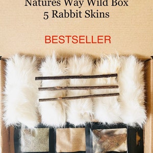 New Box Natures Way Wild Cat Gift Box, 100% Organic Valerian Root Powder, Cat Rabbit Skin Toy, 5 Rabbit Skins 3 Silvervine Sticks Dog Treat