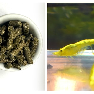 Set of Licorice Spinach Shrimps Nutrition for Yellow Gold Shrimps Neocaridina Freshwater Aquarium Fish Tank Live Shrimps by Shrimpspase