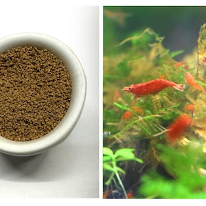 Set of Fast Growth Shrimps Nutrition for Red Fire Cherry Shrimps Neocaridina Freshwater Aquarium and Fish Tank Live Shrimps by Shrimpspase