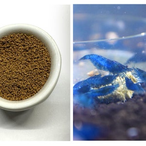 Set of Fast Growth Shrimps Nutrition for Blue Dream Velvet Shrimps Neocaridina Freshwater Aquarium and Fish Tank Live Shrimps by Shrimpspase