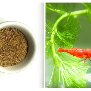 Set of Baby Food Shrimps Nutrition for Red Fire Cherry Shrimps Neocaridina Freshwater Aquarium and Fish Tank Live Shrimps by Shrimpspase