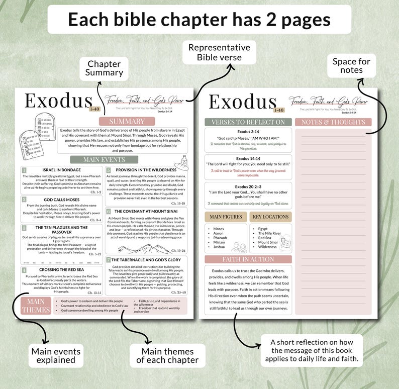 May include: A two-page spread from the book of Exodus, featuring chapter summaries, main events, verses to reflect on, and notes. The pages include key figures, locations, and a reflection on applying the book's message to daily life. The text is in black and pink.