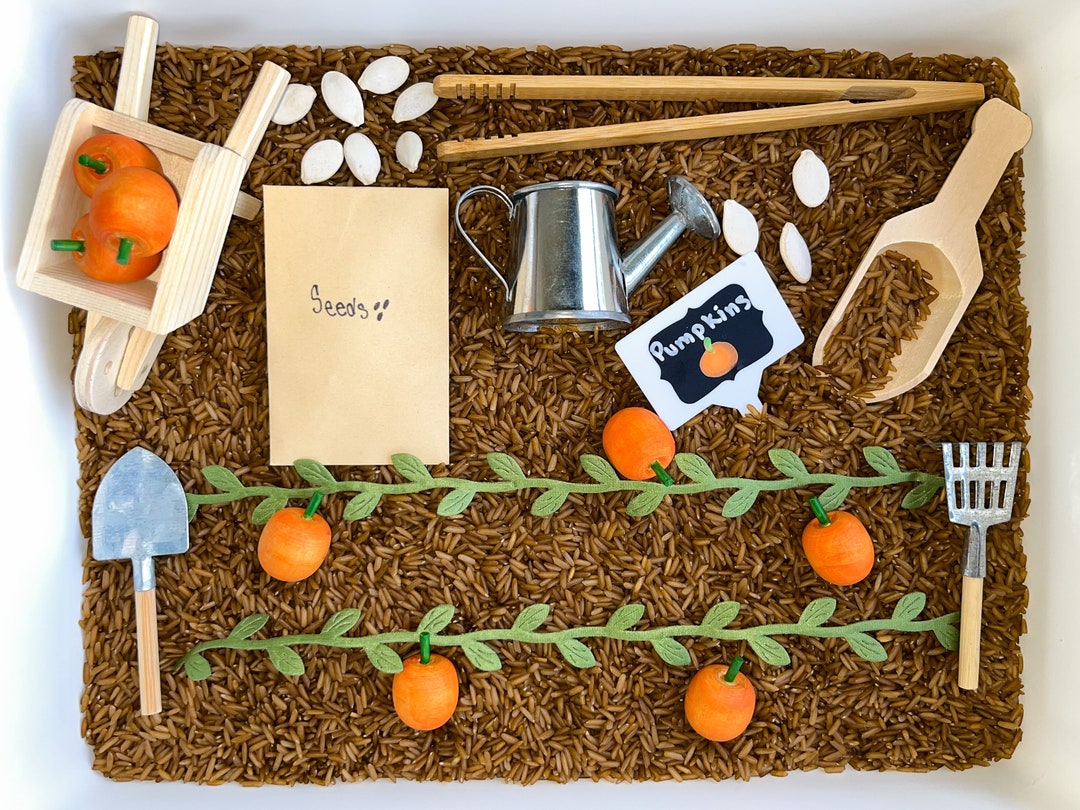 Pumpkin Patch Sensory Bin KIT