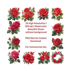 Red Rose Clipart: 25 Watercolor PNGs for Commercial Use (Digital Download)