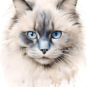 Hungarian Ragdoll Cat Portrait, Watercolour Art Print, Digital Download A3 PNG - Ideal for Cat Lovers and Art Enthusiasts