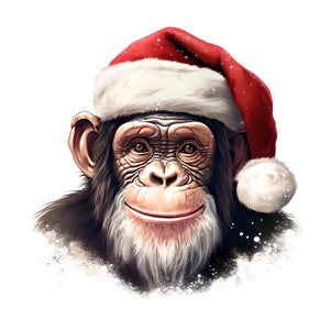 Könnte beinhalten: Digitale Illustration eines Schimpansen mit rotem Weihnachtsmannhut mit weißem Rand und weißem Bommel. Der Schimpanse hat braune Augen, einen weißen Bart und einen lächelnden Ausdruck. Der Hintergrund ist weiß.