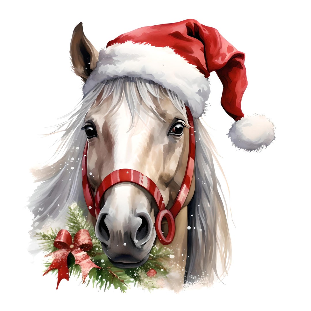 Horse Santa Claus Santa Horse Xmas Horse 4000x4000 Pixels - Etsy