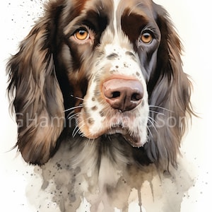 Portrait of Springer Spaniel art digital print - A3 portrait - PNG file - Digital download