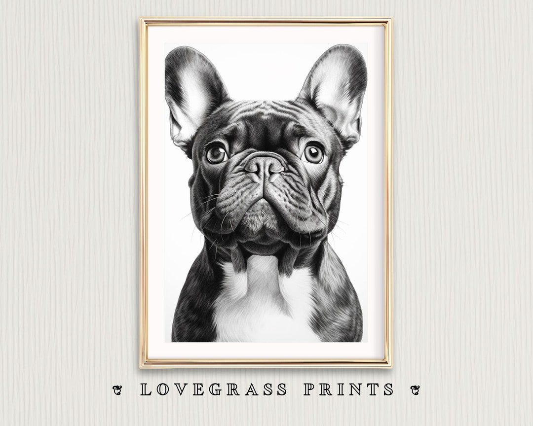 French Bulldog Art, Printable French Bulldogs Wall Art, Frenchie Art