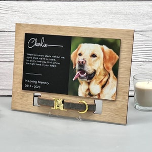 Pet memorial gift, Pet Collar Holder, Pet Sympathy, In Loving Memory, Pet Loss Frame, Cat Memorial Gift, Clip Frame