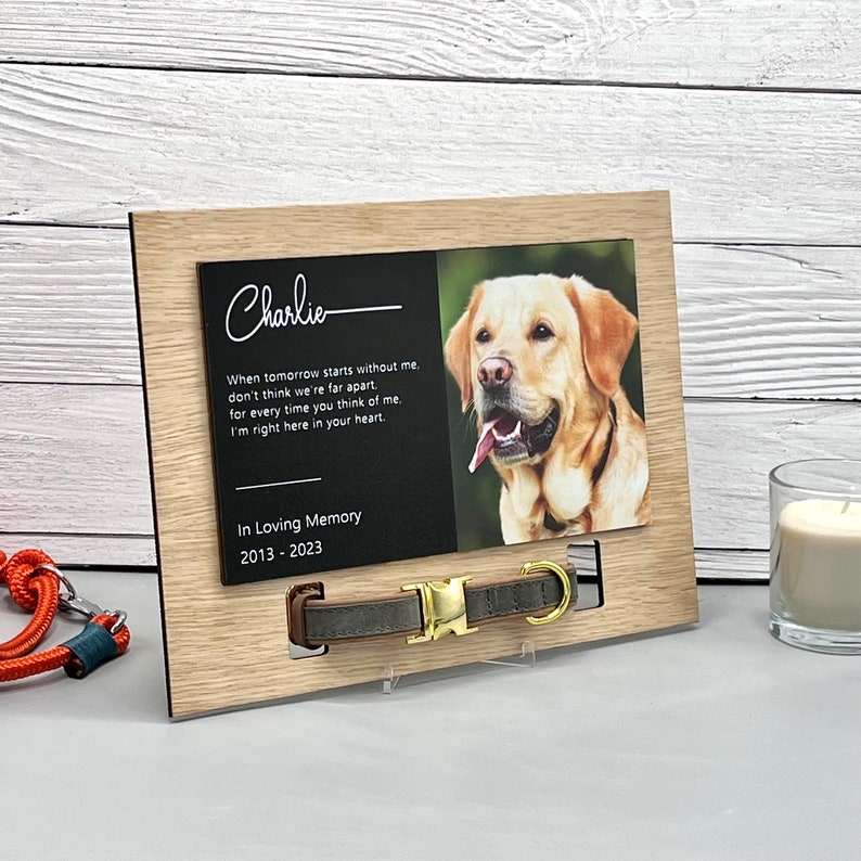 Custom Dog Collar Memorial Frame, Personalized Memorial Picture Frame