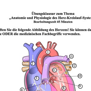 Practice exam Anatomy and physiology of the cardiovascular system image 2