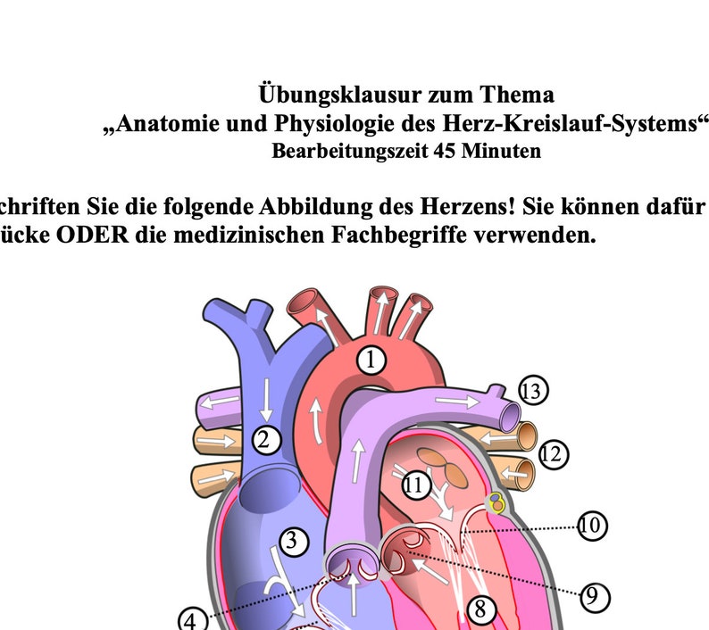 Practice exam Anatomy and physiology of the cardiovascular system image 2