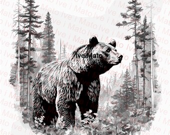 Amazon.com: Head A Ferocious Grizzly Bear Funny Canvas Wall
