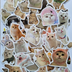 60 lindas pegatinas de gatos para álbumes de recortes, diario, agenda, manualidades, autoadhesivas, pegatinas de diario basura, pegatinas para portátiles, pegatinas para mascotas, fabricación de tarjetas