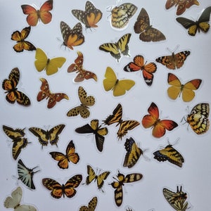 40 naklejek dekoracyjnych motyli, naklejki wodoodporne, scrapbooking, planer pamiętnika, rękodzieło, naklejki do scrapbookingu motyli