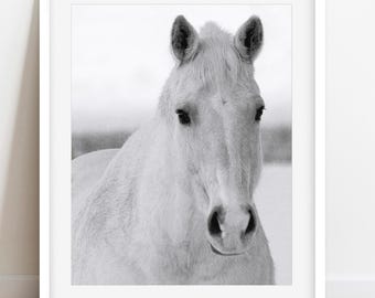 Black and White Horse Portrait Photography Print: Equestrian Wall Art