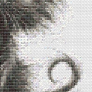 Grumpy Cat Cross Stitch PDF Pattern | Black Cat Embroidery Chart | Counted Design image 8