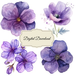 February Birth Month, Flower Print, Violet Wall Art, Violet Flower Printable, Transparent Background Flowers, February Birth Flower, Violet
