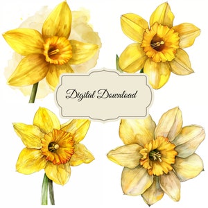 Impression de fleurs du mois de naissance de mars, art mural jonquille, fleur jonquille à imprimer, fleurs d'art d'anniversaire, fleur de naissance de mars, jonquilles