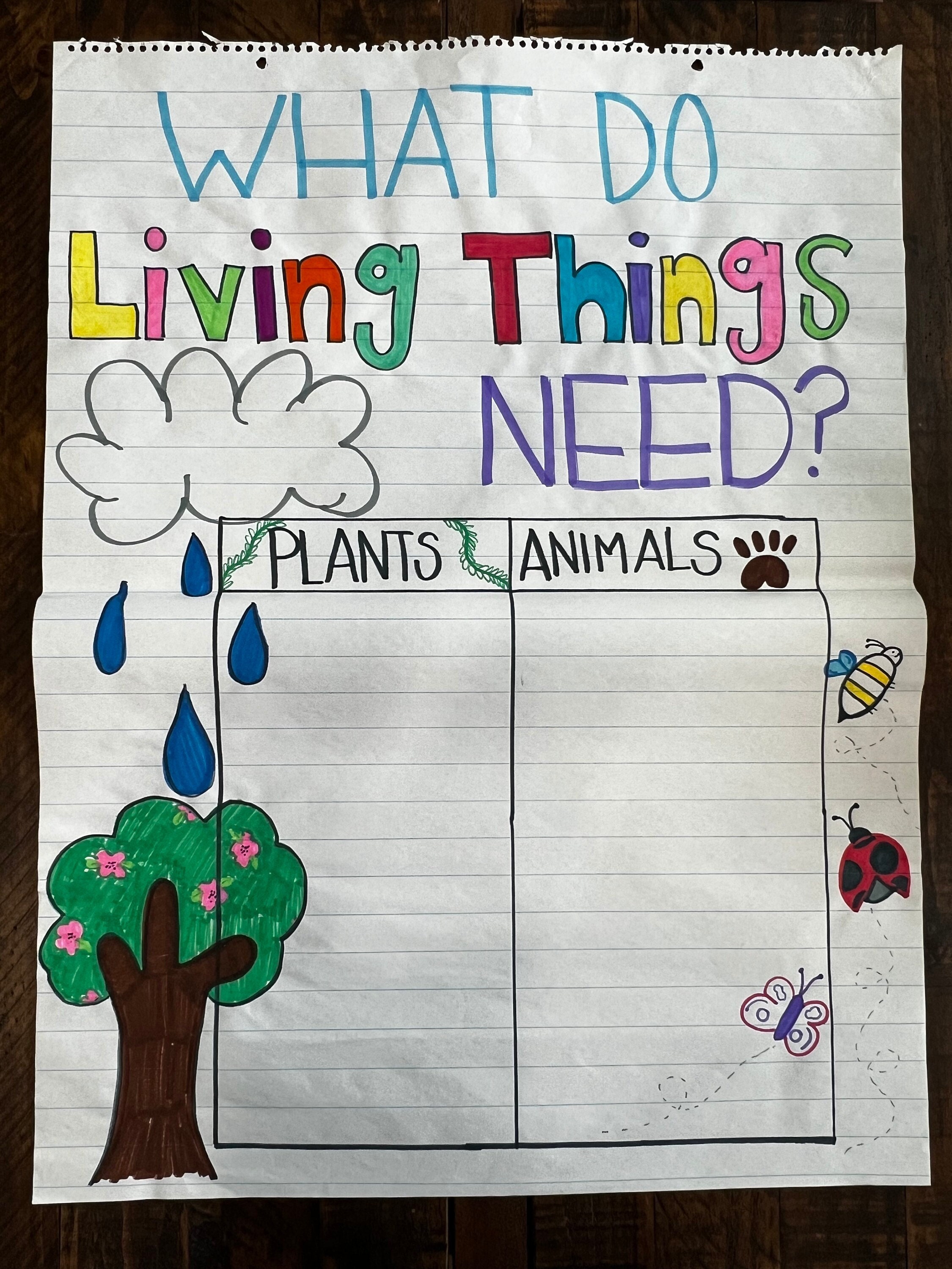 Living Needs Anchor Chart Classroom Anchor Chart Etsy