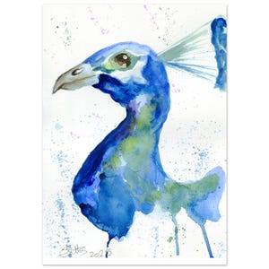 PEACOCK WATERCOLOUR PRINT A3 / A2