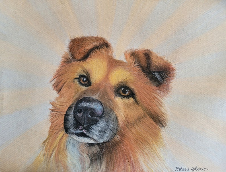 Custom Pastel Hand Drawn Pet Portraits, Custom Hand Drawn Dog Portrait ...