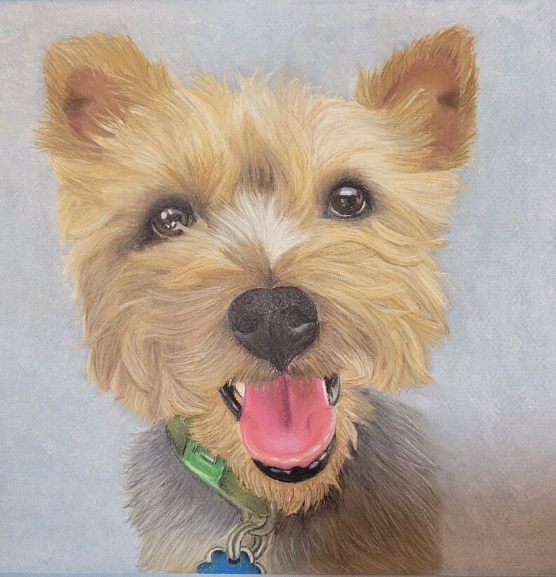 Custom Pastel Hand Drawn Pet Portraits, Custom Hand Drawn Dog Portrait ...
