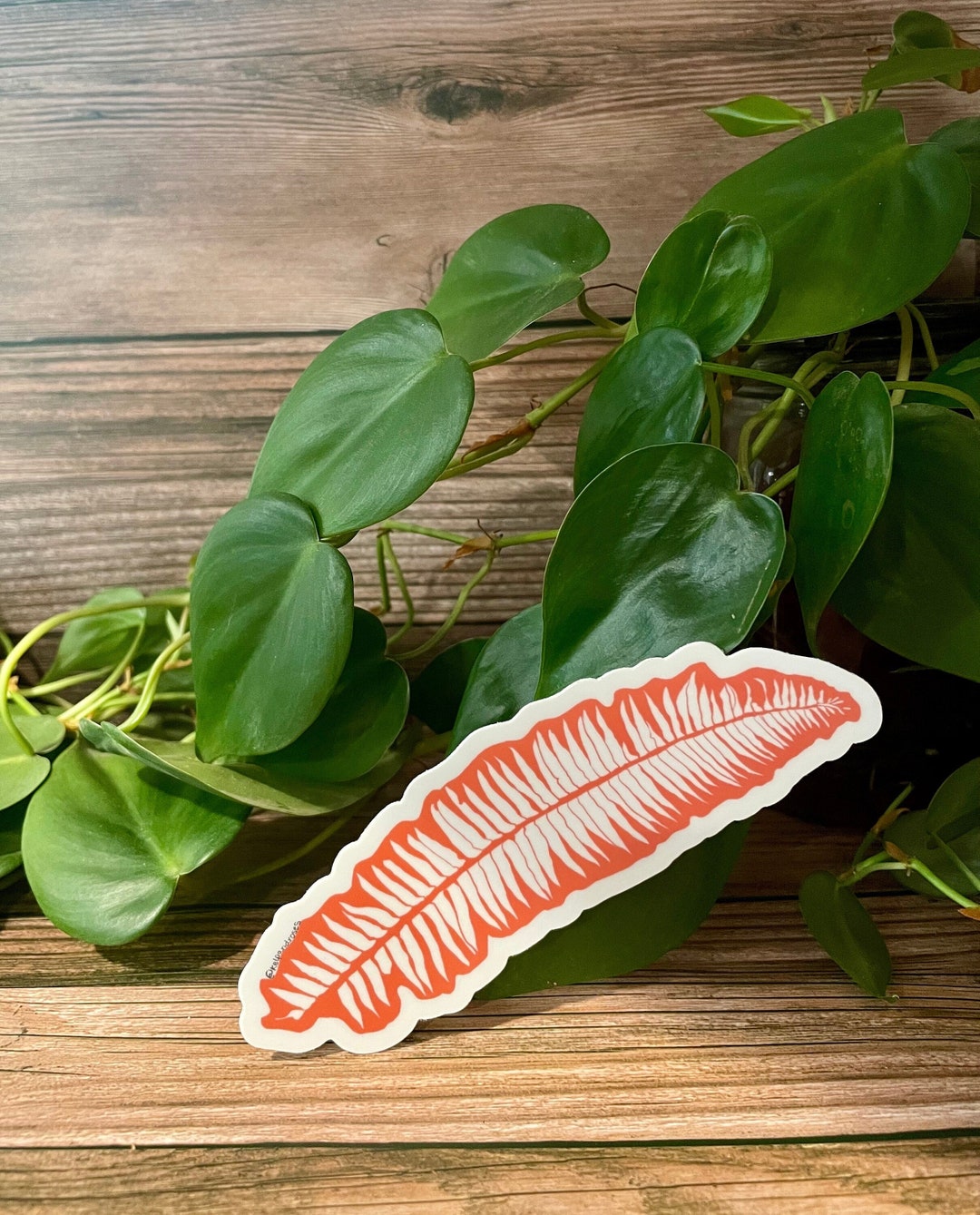 Fern Die Cut Sticker - Etsy