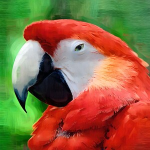 Bird Art