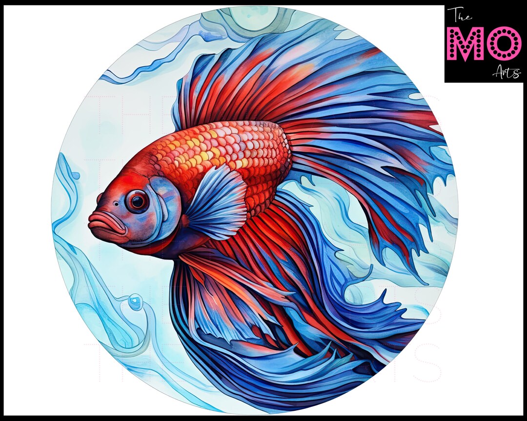 5 Betta Fish Stained Glass Clipart Sublimation Designs Betta Etsy