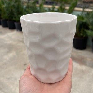 May include: A white ceramic cup with a textured, geometric pattern. The cup is held in a hand, with a blurred background of a greenhouse filled with plants. The cup's design features a series of raised, rounded shapes.