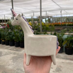 Iridescent Unicorn Pot