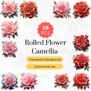 Rolled Flower Clipart PNG Watercolor Rolled Camellia Flower Rolled Camellia Digital graphics instant download for commercial use 16 pcs.