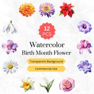 Aquarela Mês de Nascimento Flor Clipart PNG Mês de Nascimento Pacote Floral Gráficos Digitais download instantâneo para uso comercial 12 unid.