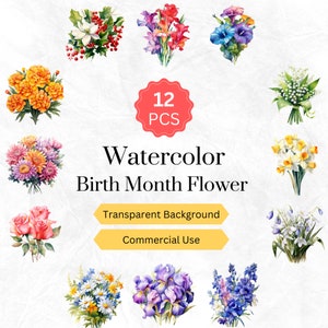 Mese di nascita dell'acquerello Fiore Clipart PNG Mese di nascita Bouquet floreale Bundle Grafica digitale Download immediato per uso commerciale 12 pz.