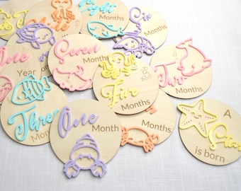 Ocean Animals Baby Milestone Markers: Engraved Wood Photo Props