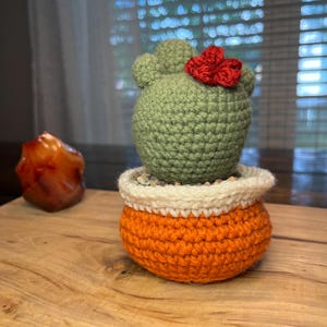 Cactus with Flower