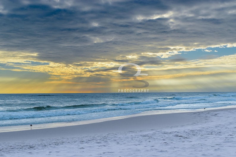 All Tide up (beach at Destin, Florida Canvas Print) Etsy