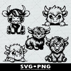 Highland Cow Svg Bundle, Baby Cow Svg, Cow Png, Highland Cow Clipart, Highland Cow Bundle
