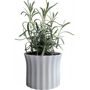 Eco-Friendly 3D Printed Flower Pot • Biodegradable PLA • 10 cm × 9.5 cm