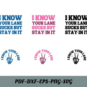 Wiem, że twój pas jest do bani, ale zostań w nim Svg, Wiem, że twój pas jest do bani Svg, Zabawny projekt sublimacji, Modny Png, Retro Png, Zabawny cytat Svg, Png