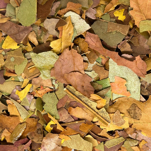 Leaf Litter Mix